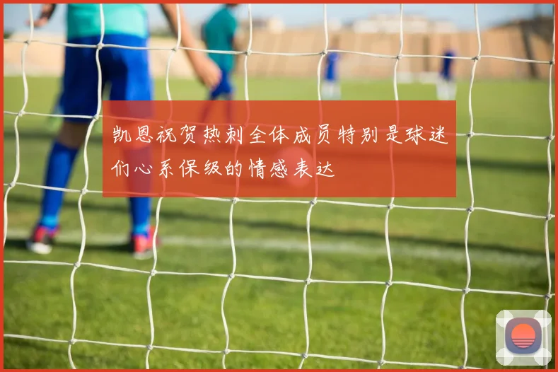 凯恩祝贺热刺全体成员特别是球迷们心系保级的情感表达