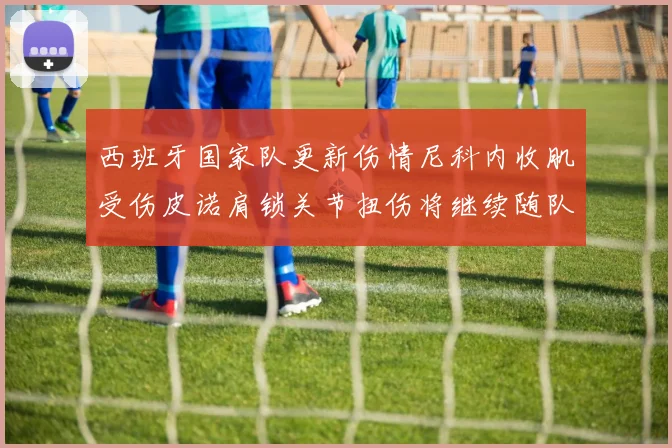 西班牙国家队更新伤情尼科内收肌受伤皮诺肩锁关节扭伤将继续随队训练